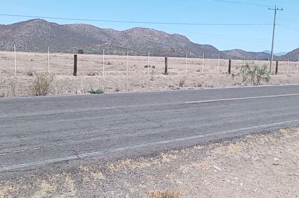 Macabro viernes: localizan dos cuerpos encobijados sin identificar en ejido Ortiz, en Guaymas