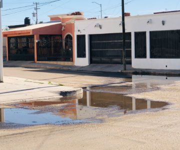 Fuga de agua intermitente afecta el asfalto en la Álvaro Obregón