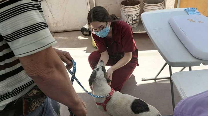Pata de Perro atiende a más de 90 mascotas en Jornada de Salud