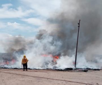 Siguen los incendios en basureros clandestinos de Nogales