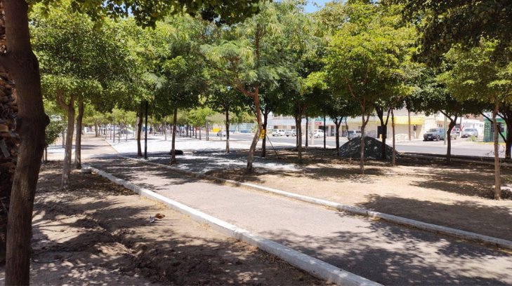 Más del 80% de los parques y plazas de Hermosillo no tienen sistema de riego