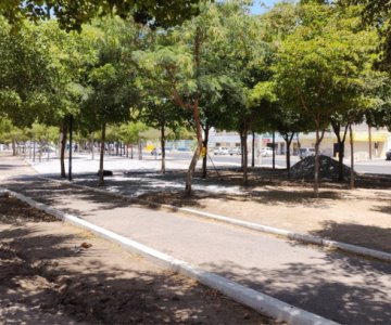 Más del 80% de los parques y plazas de Hermosillo no tienen sistema de riego