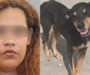 Mujer dispara contra perrito de la calle que la tenía harta: falla y le da a su propio hijo