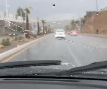 VIDEO - Así se vivió la primera lluvia en Nogales
