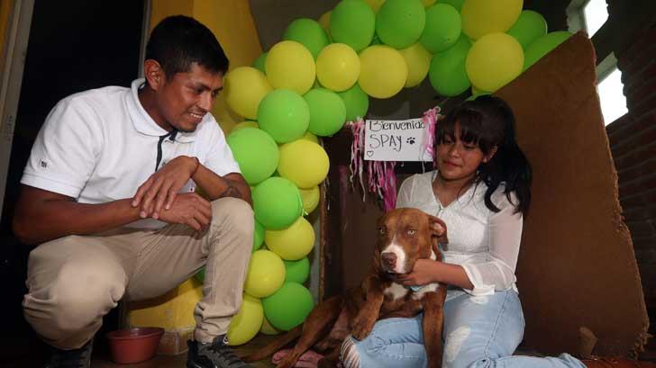 Spay regresa a su familia; fue uno de los perritos rescatados en socavón de Puebla