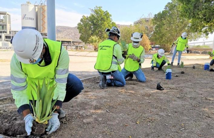 Hermosillo se tiñe de verde de la mano de CEMEX