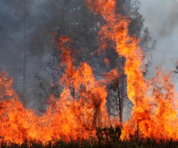 Alertan por la peligrosidad del calentamiento global