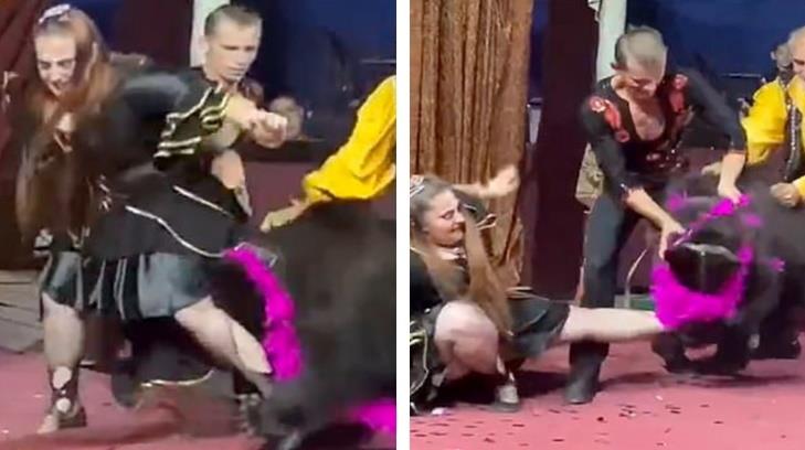 VIDEO - Oso de circo enfurece y ataca a entrenadora en pleno show infantil