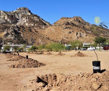 CEMEX forma parte del renacer de La Sauceda