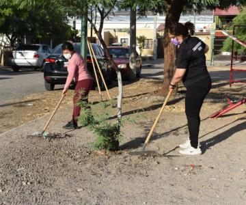 Vecinos de la Terranova se unen por una ciudad más limpia