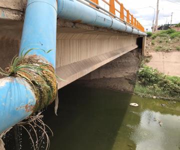 Es una lástima que se tire el líquido, sobre todo en sequía; denuncian fuga en puente de Navojoa