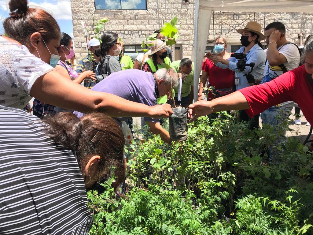 Regalan árboles en Nogales para celebrar el Día del Árbol