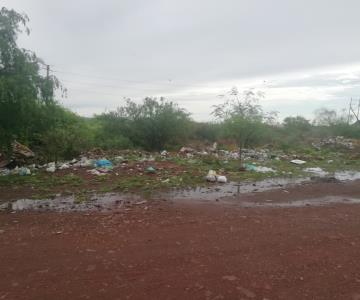 A falta de un servicio eficiente de recolección de basura en Guaymas, la gente decide tirar los desechos en este baldío