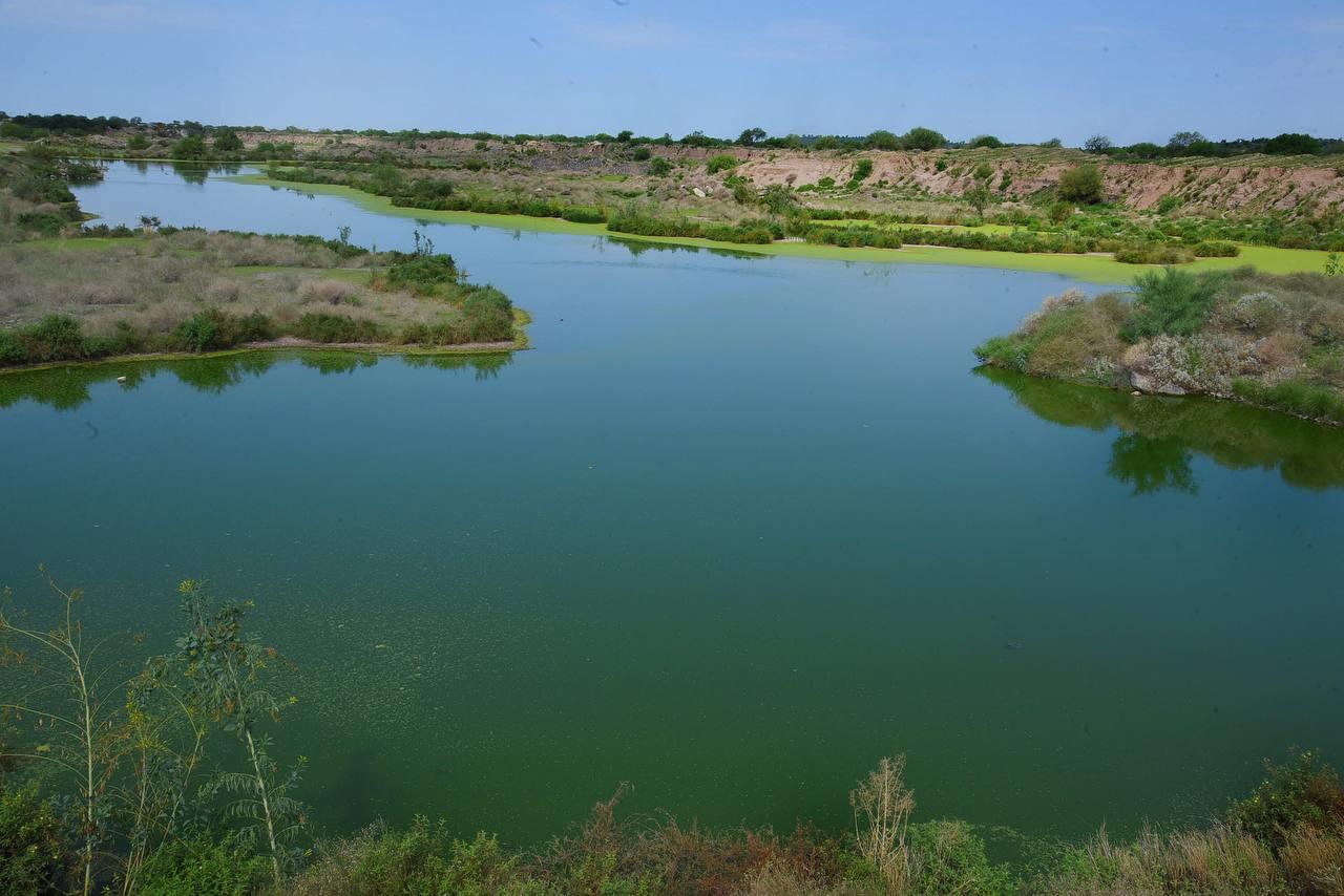 ¡Es oficial! Declaran Área Natural Protegida este lagunar dentro de Hermosillo