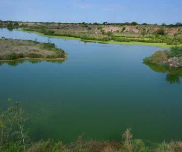 ¡Es oficial! Declaran Área Natural Protegida este lagunar dentro de Hermosillo