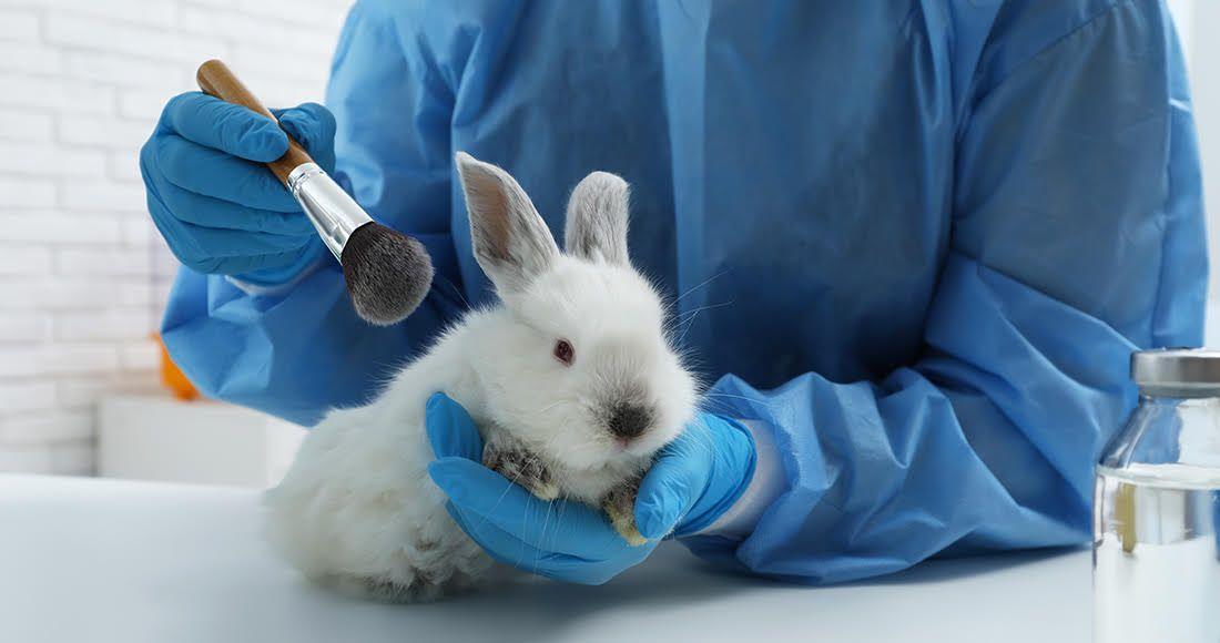 Prohíben pruebas cosméticas en animales