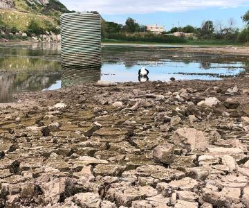 Ni los esfuerzos de los hermosillenses ni las recientes lluvias han sido suficiente para salvar el humedal de La Sauceda