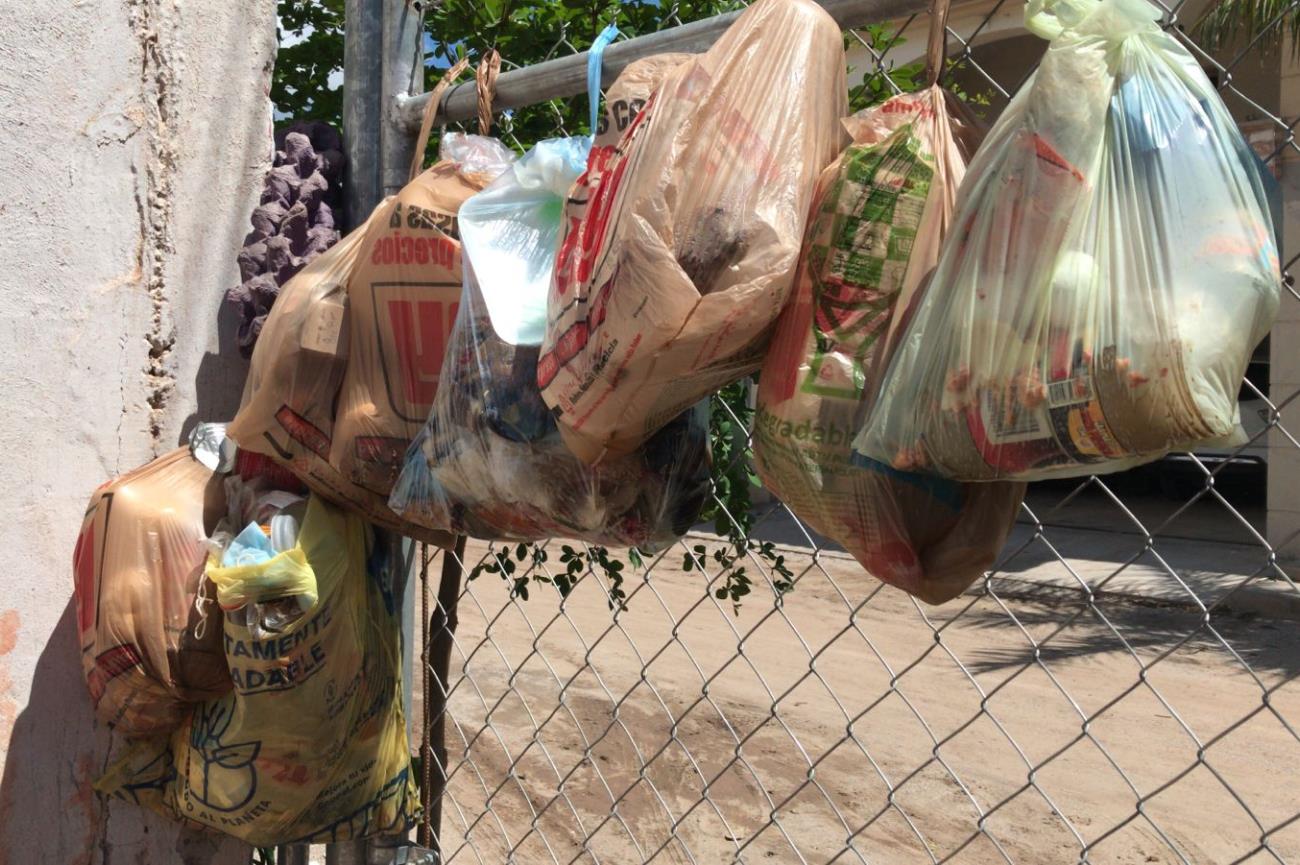 Nosotros no tenemos la culpa que vayan de salida: están hartos en Navojoa por tanta basura