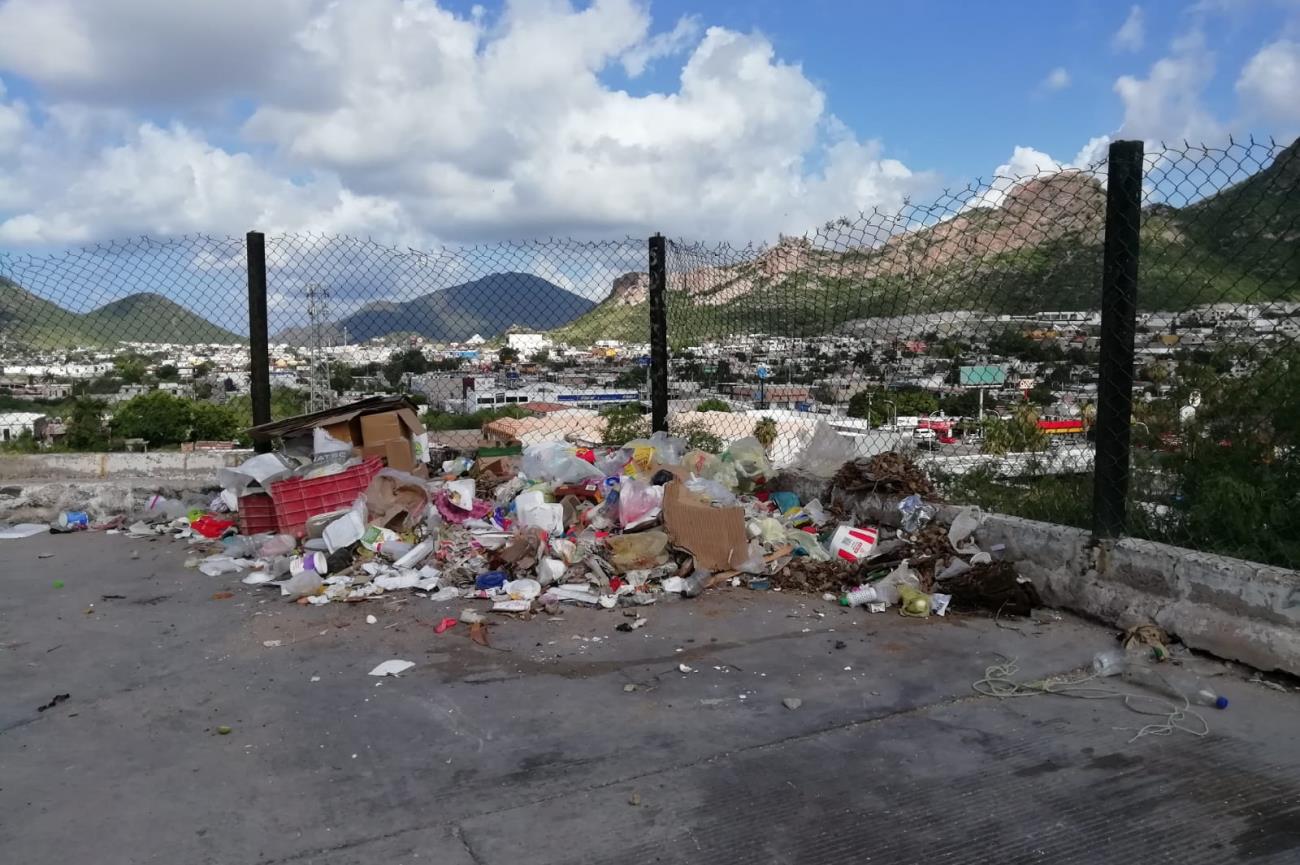 Tenía tanto tiempo la basura ahí que las bolsas se deterioraron y los perros las abrieron