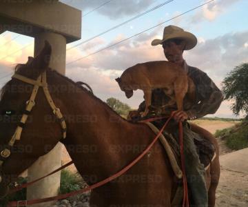 Yegua, perro y hombre: el trio inseparable de Hermosillo