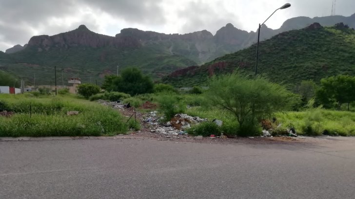 Ineficiente servicio de recolección genera basureros clandestinos en Guaymas