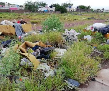 Recolección de basura pasa una vez al mes pero no recoge nada en este basurero de Guaymas