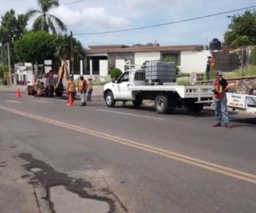 Karla Córdova inicia su administración dándole una manita de gato a Guaymas