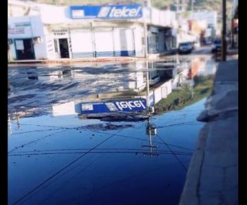 La gente ya no quiere consumir en el Centro de Guaymas por enorme estanque de aguas negras