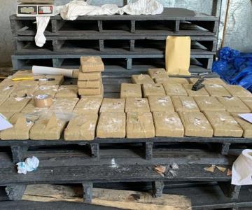 Decomisan casi 50 kilos de cocaína proveniente de Rusia en Ensenada
