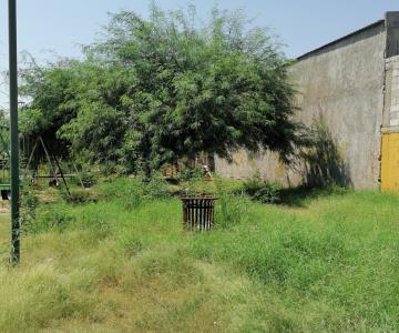 Maleza y basura sepultan parque de la colonia Jerez del Valle