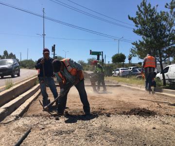 Poco a poco rescatan las calles de Nogales