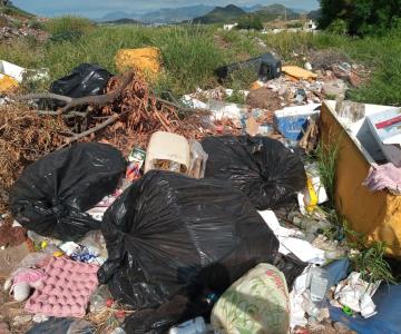 Antes era un área verde en Guaymas, ahora está lleno basura y animales muertos