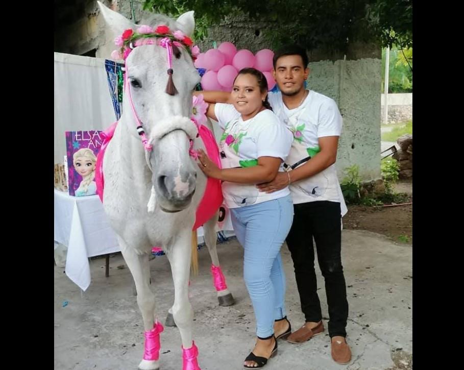 Con regalos y pastel, realizan baby shower a una yegua en Yucatán