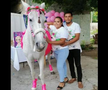 Con regalos y pastel, realizan baby shower a una yegua en Yucatán