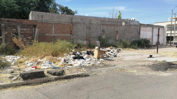 Basura llama basura: arrojan desperdicios en baldío de El Mariachí