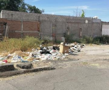 Basura llama basura: arrojan desperdicios en baldío de El Mariachí