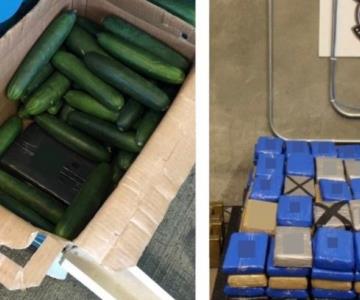 Ocultaban cargamento de cocaína entre cajas de verduras