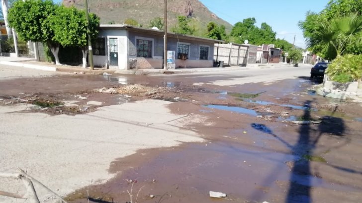 Guaymenses de la San Vicente ya no aguantan las fugas de aguas negras