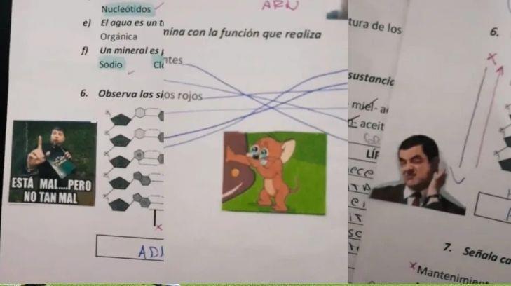 ¡Wey, ya!, maestra califica exámenes y tareas  de sus alumnos con memes