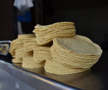 De alimento básico a ser todo un lujo: tortilla de maíz registra su precio más alto en la historia