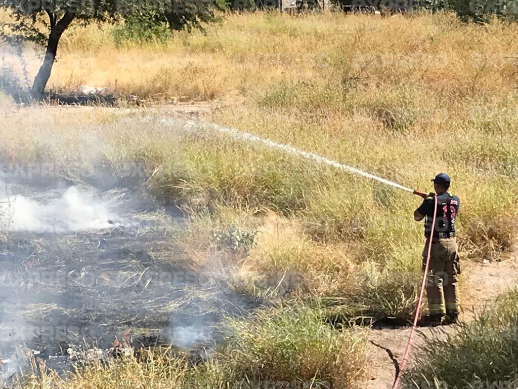 ¿Pirómano suelto? Esta es la principal causa de los incendios de maleza en Hermosillo