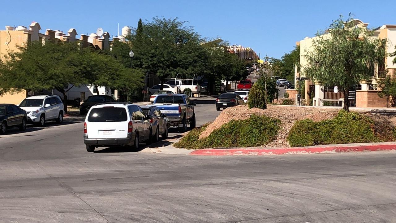 Ayuntamiento de Nogales acude a verificar que constructora plante árboles