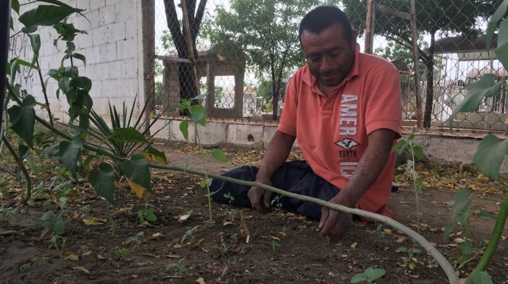 Después de perder sus piernas, Dionisio salió a buscar cómo sobrevivir por su cuenta