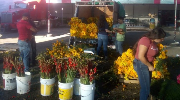 Cajeme se adorna con flores: aumentan las ventas de flores originarias de Michoacán