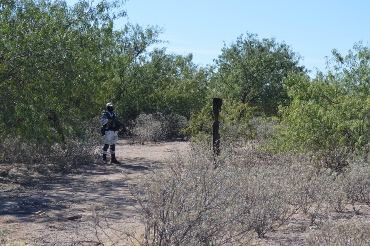 Dentro de fosas clandestinas, localizan tres cuerpos en descomposición en San José de Guaymas