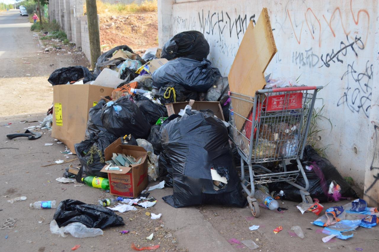 Como no pasa la basura, guaymenses recurren a dejar la basura en los bulevares