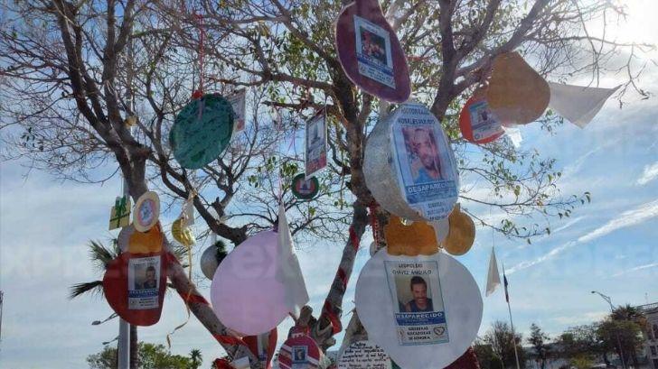 Cuelgan fotos de desaparecidos en árbol de la Plaza de los Tres Presidentes