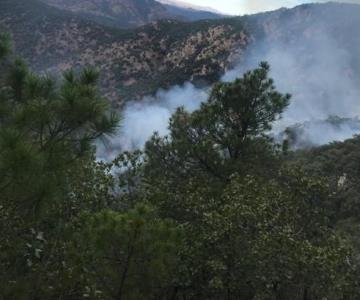 Combaten incendio forestal en Aconchi