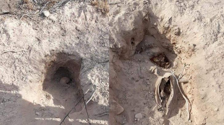Vieron que los perros traían huesos humanos; los habían sacado de una fosa en Guaymas
