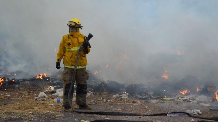 Bomberos sofocan incendio de maleza en Guaymas